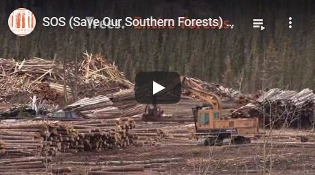 2015-10-26-biomassmurder-org-sos-save-our-southern-forests-call-to-action-dogwood-alliance-english