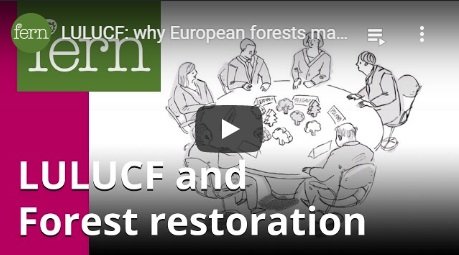 2017-05-22-biomassmurder-org-lulucf-why-european-forests-matter-for-the-climate-fern-english