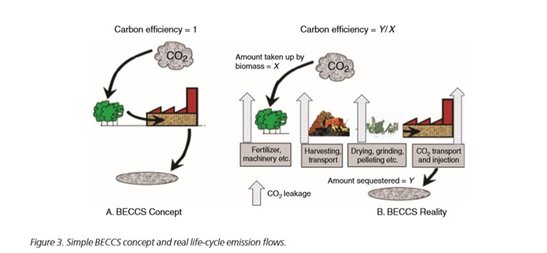 2019-02-10-easac-forest-bioenergy-carbon-capture-and-storage-and-carbon-dioxide-removal