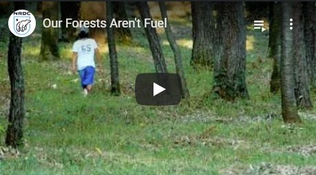 2011-03-15-biomassmurder-org-our-forests-aren-t-fuel-nrdc-english