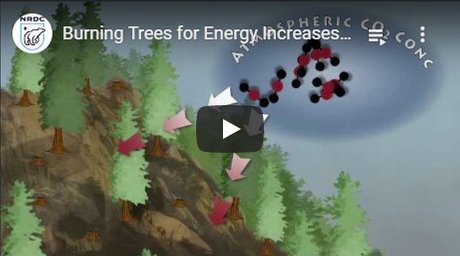 2011-09-06-biomassmurder-org-burning-trees-for-energy-increases-carbon-pollution-and-threatends-our-forests-nrdc-english