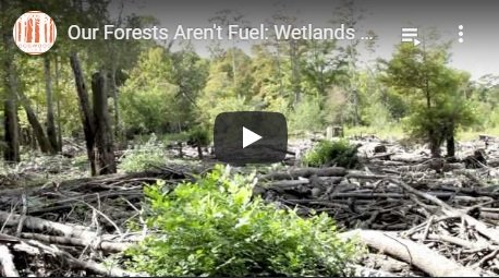 2013-12-09-biomassmurder-org-our-forests-aren-t-fuel-wetlands-up-in-smoke-dogwood-alliance-english