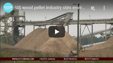 2014-11-18-biomassmurder-org-us-wood-pellet-industry-stirs-environmental-controversy-cgtn-america-english