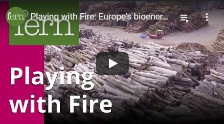 2017-11-28-biomassmurder-org-playing-with-fire-europes-bioenergy-future-english
