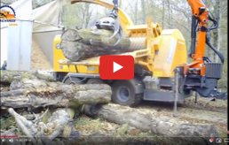 BioMassMurder Research Logging Whole Trees for Woody Biomass