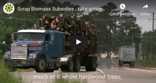 biomassmurder-research-subsidies-video